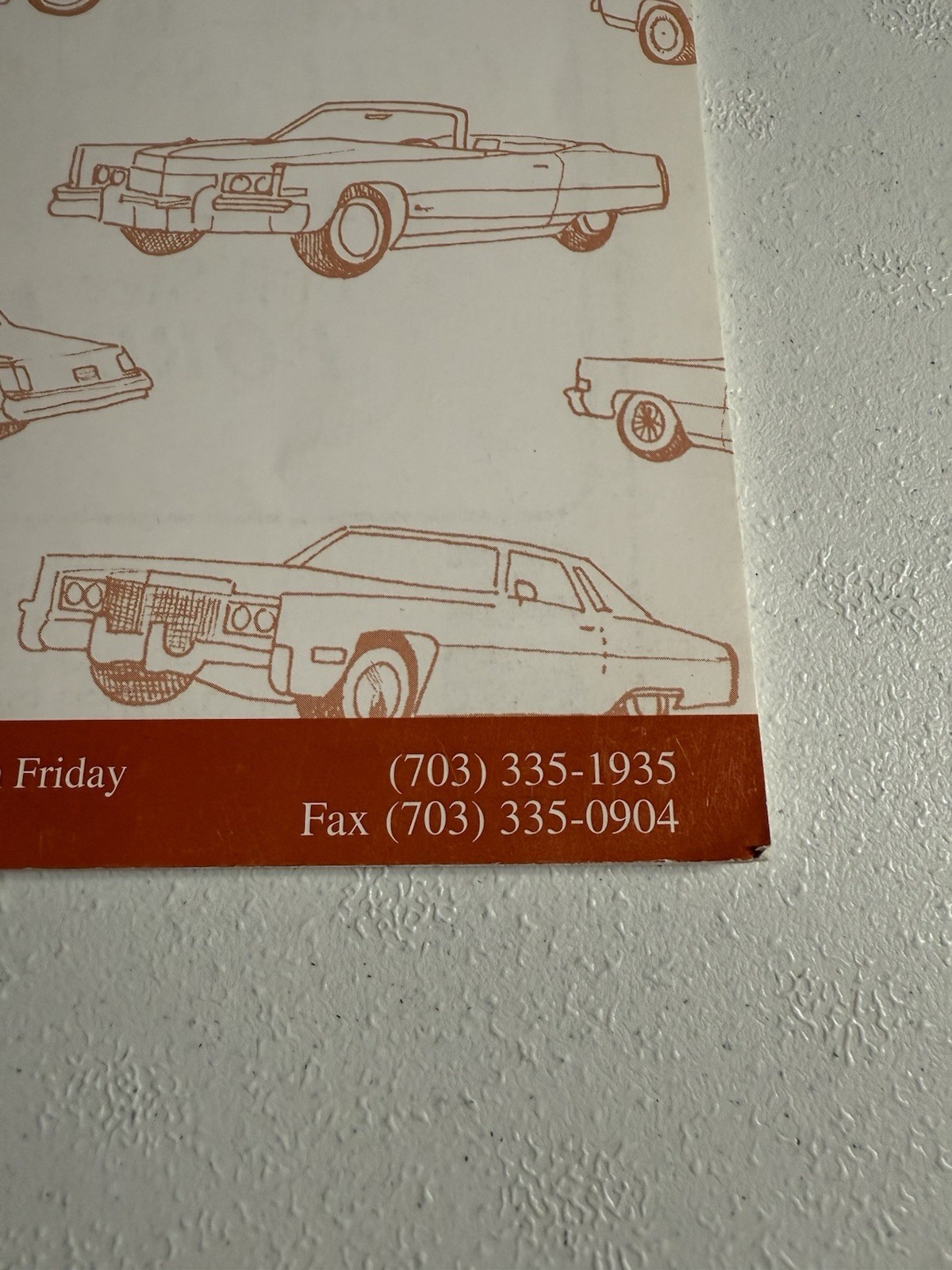 Picture 5 of 11