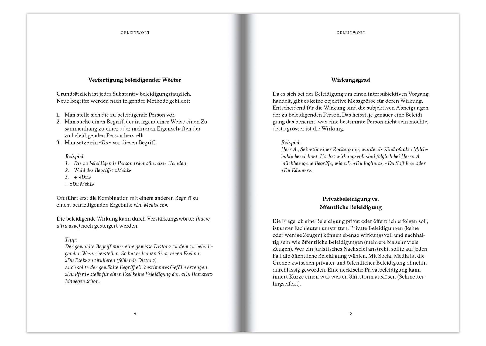 Thumbnail - Flurina Schuler | Maledicta - 143 Beleidigungen | Buch | Deutsch