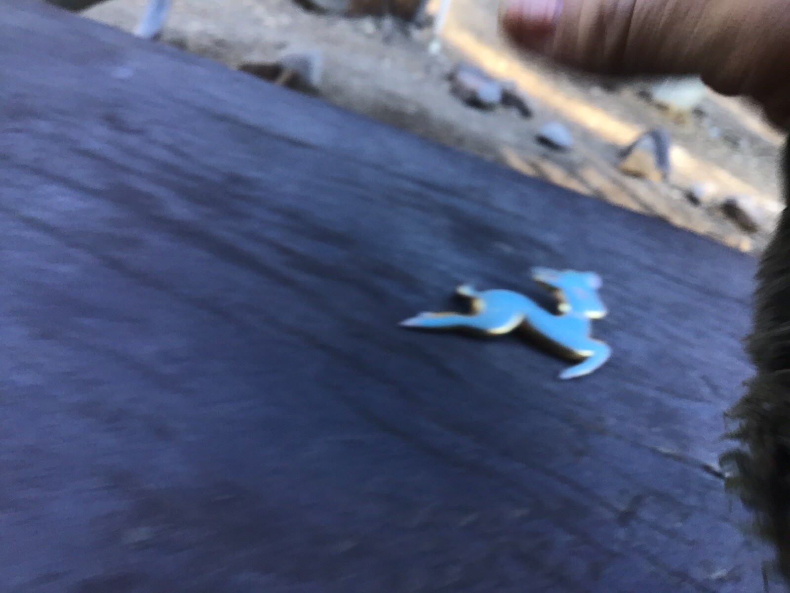 Picture 2 of 3