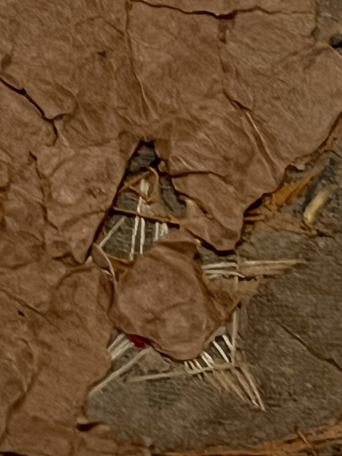 Picture 3 of 7
