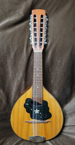 VINTAGE NICE SOUNDING 12 STRING TEARDROP MANDOLIN**SEE VDO**