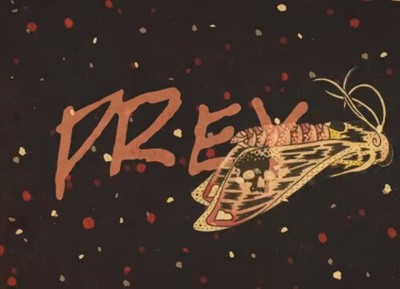Prey by Planes Mistaken For Stars