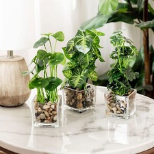Set of 3 Artificial Plants, Faux Home Tabletop Greenery w/Clear Glass Cube Pots
