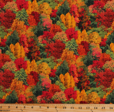 Landscape Autumn Trees Forest Fall Colors Cotton Fabric Print by Yard D512.19