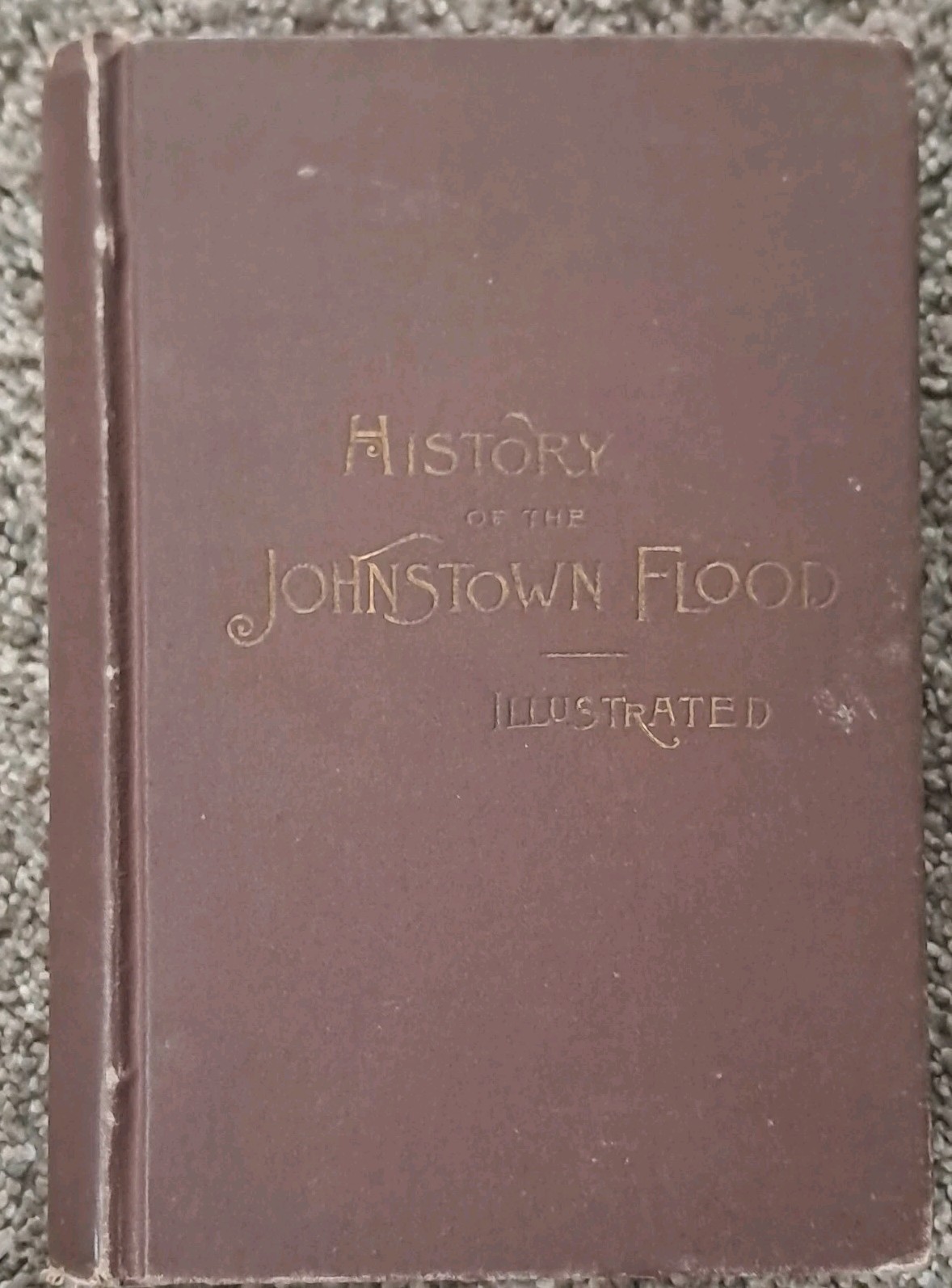 History of the Johnstown Flood Willis Fletcher Johnson 1889 Edgewood HB
