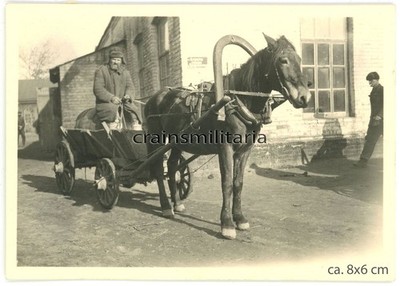 Orig. Foto russ. Panjefahrer Bevölkerung mit Pferd Wagen in Russland