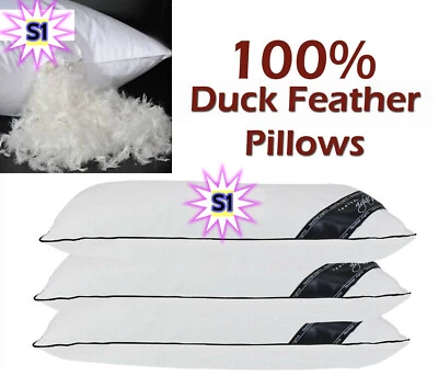 100% Duck Feather Filled Soft Pillows Hotel UK Quality Pillow PACK of 1, 2, 4, 6