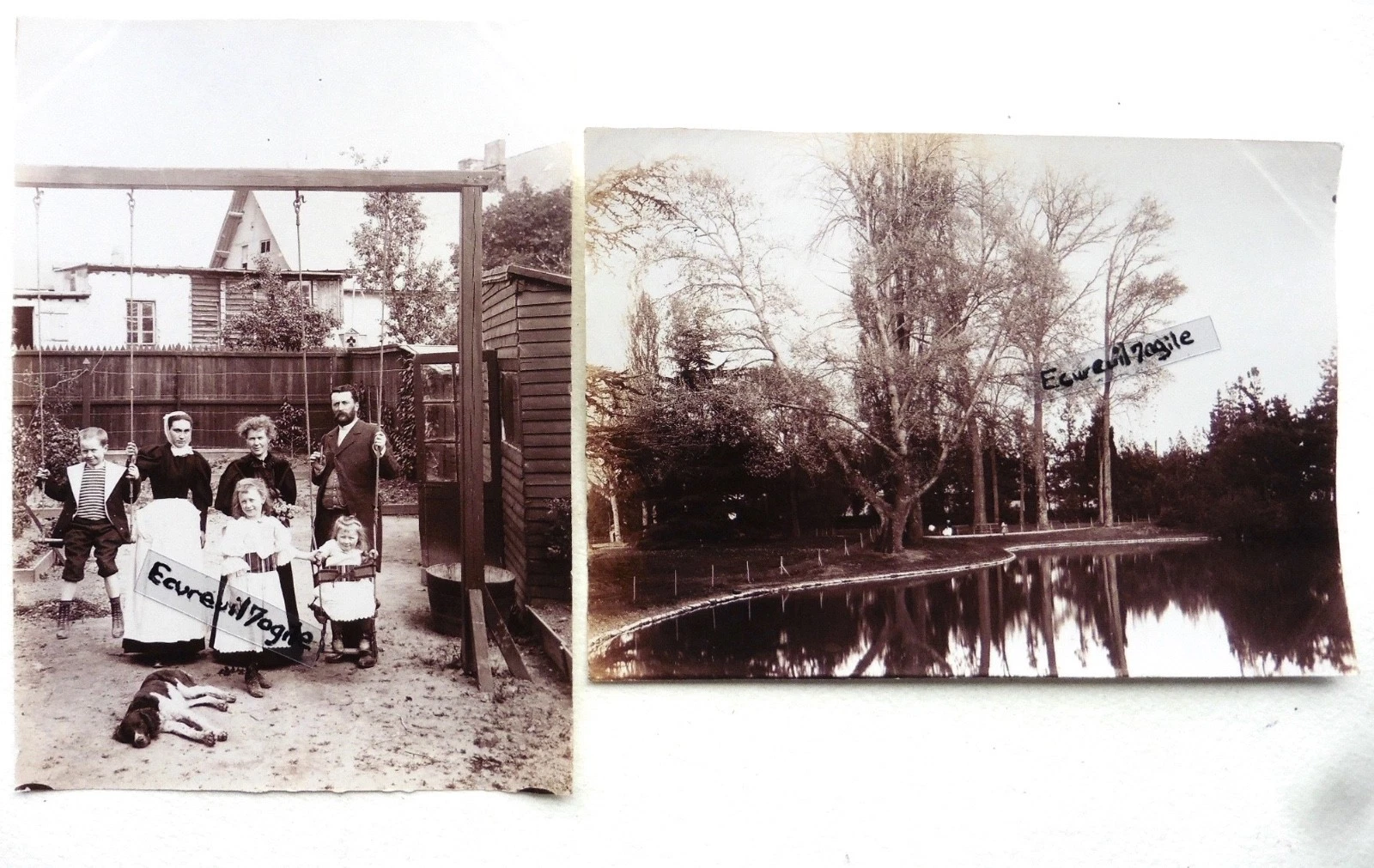Photo 1/1