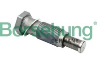 NEU - Borsehung B1T012 Spanner, Steuerkette FüR Audi Seat Skoda VW