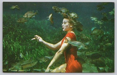 Betty Frazee Underwater Florida Silver Springs Natural Color Publishers Postcard