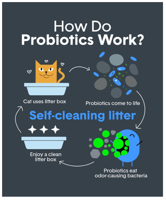 Boxie Probiotic Clumping Cat Litter, 40 lb, 40-Day Odor Control, Dust-Free