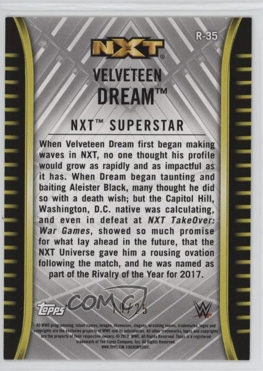 2018 Topps WWE NXT Silver /25 Velveteen Dream #R-35 Rookie RC - Image 2 of 2