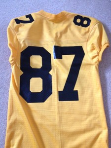 gotham rogues jersey