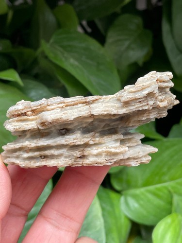78g Natural GoBi stone wind-carved stone Bonsai stone collection china - Bild 3 von 12