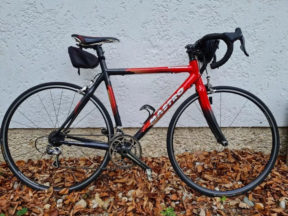 Mastro Sandra Rennrad - Mannfred Strobl - Carbon