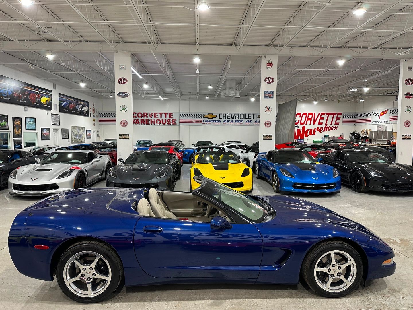 2004 [19U] LeMans Blue Chevrolet Corvette   | C5 Corvette Photo 6