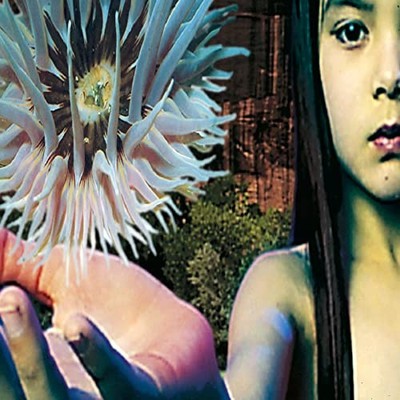 Lifeforms -  CD FVVG The Cheap Fast Free Post