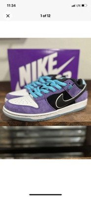 Nike SB Dunk Low Hayley Wilson Size 11.5 Mens