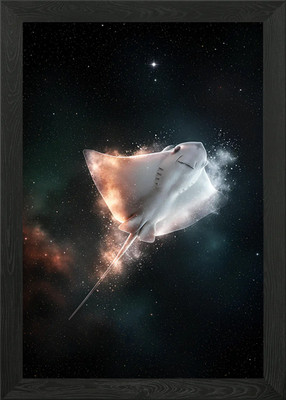 Cosmic Ray: Stingray in Space Gerahmtes Wandbild Poster Leinwanddruck Bild