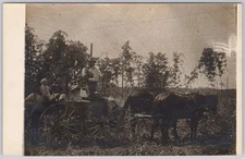 Horse Carriage Agriculture Family Portrait Real Photo Postcard RPPC