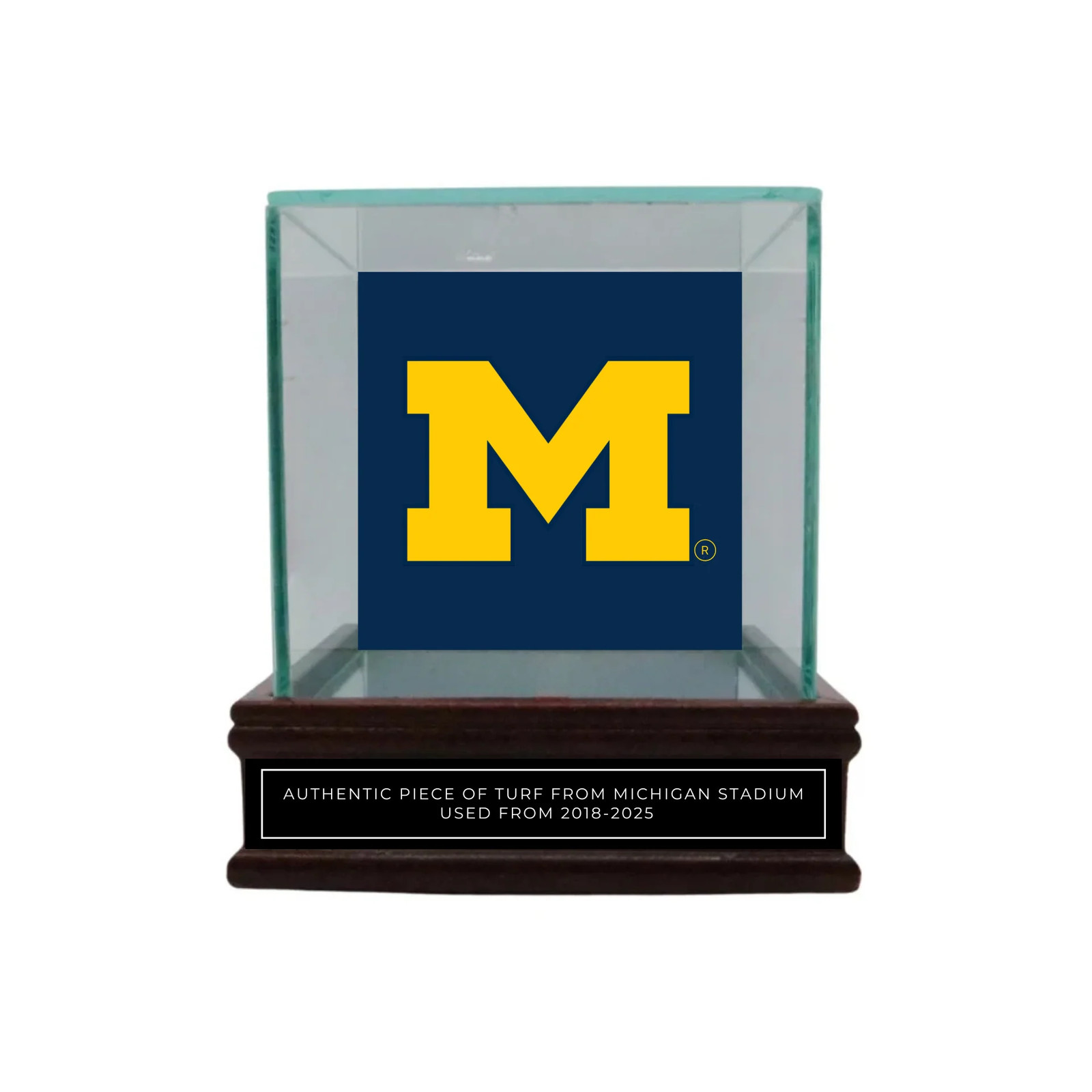 University of Michigan Authentic Piece of Michigan Stadium Turf with Case