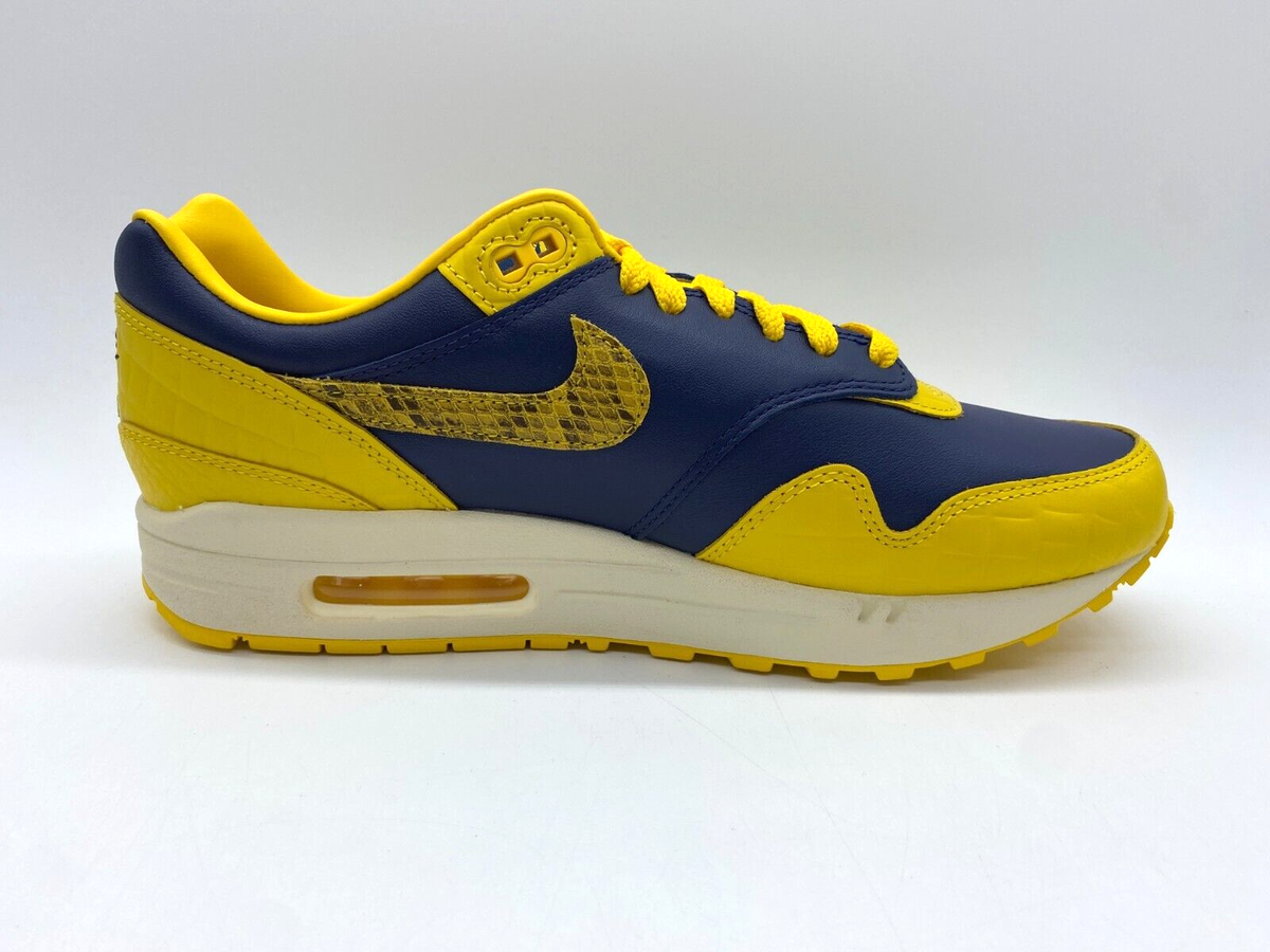 9757.廃盤希少 ニッピン ゴアメスナー 2-3人 イエロー×ブルー Nike Air Max 1 CO.JP Michigan gelb yellow blau blue Größe EUR 43