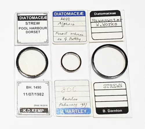 Diatom microscope slides (x3), Klaus Kemp, Bernard Hartley and Brian Darnton