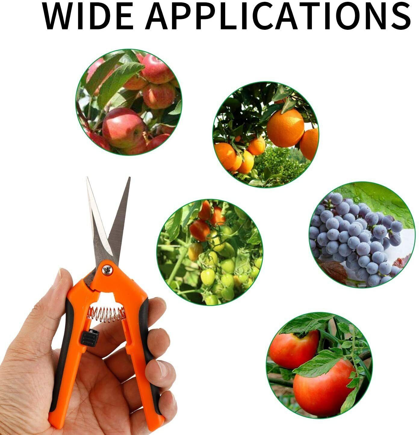 12 Pcs Gardening Scissors Stainless Steel Pruning Shears Hand Pruner Trimming