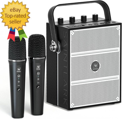 100W Powerful Voice Amplifier with 2 Wireless Microphones Big Pro Sound Portable