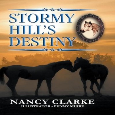 Stormy Hill's Destiny Book 7 Nancy Clarke Hardcover Strategic Boo
