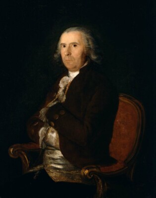 Dream-art Oil painting Portrait-of-a-Man-in-a-Brown-Coat-Francisco-Goya-y-Lucien