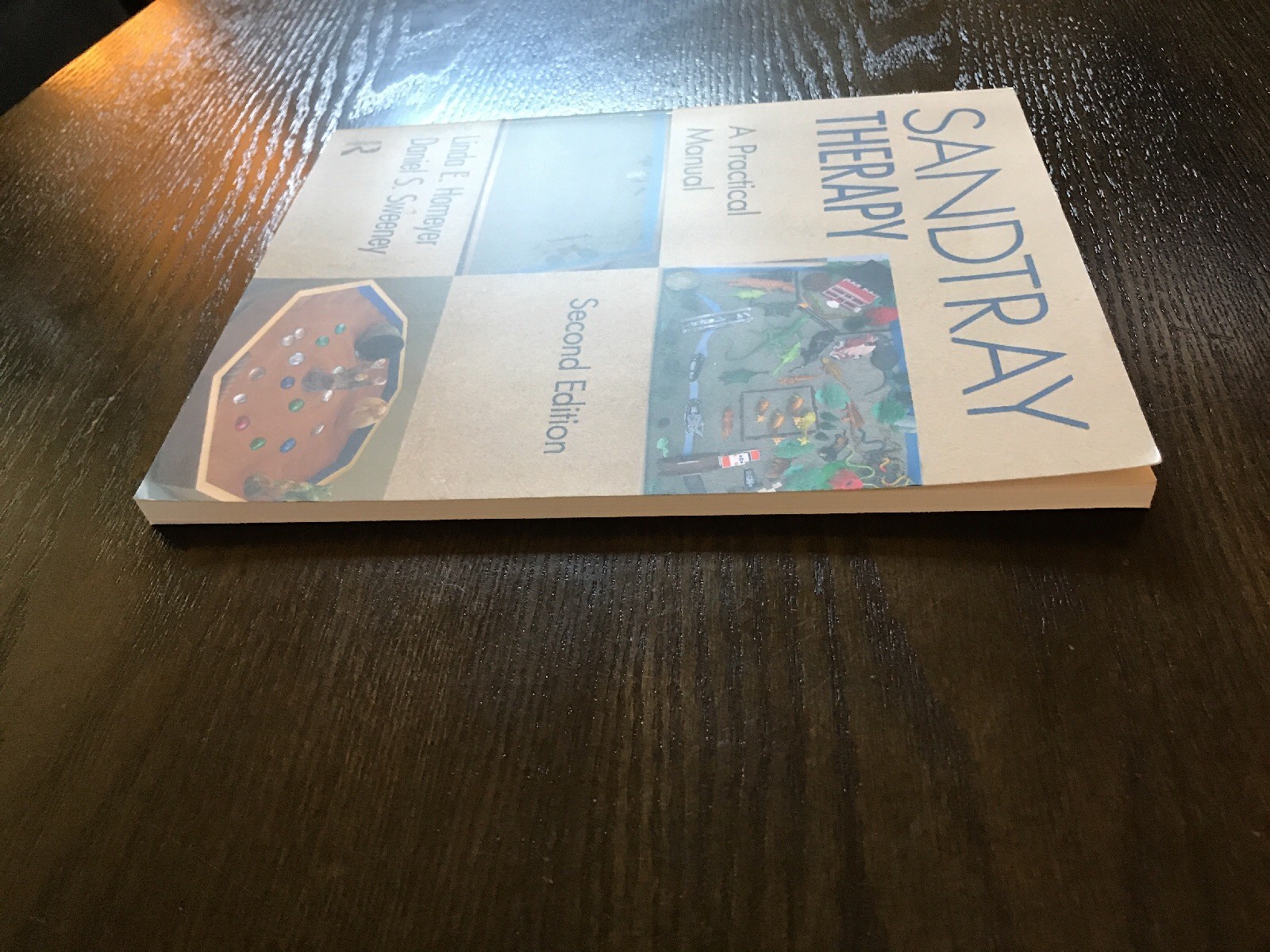 Sandtray Therapy : A Practical Manual by Linda E. Homeyer and Daniel S.  Sweeney (2010, Paperback, Revised) | eBay