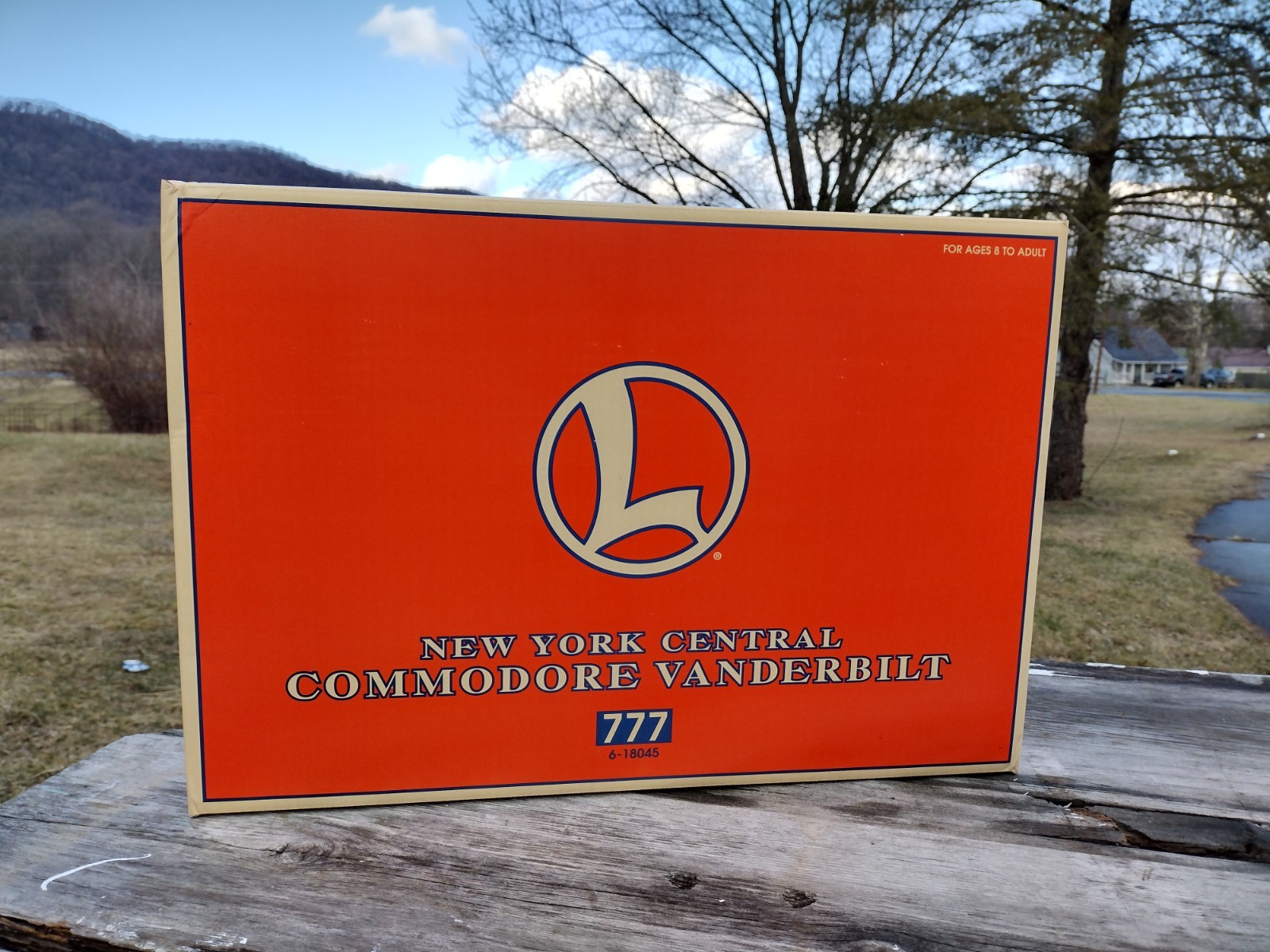 Click here to see eBay Auction