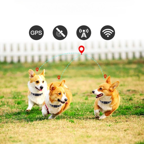 Mini GPS Rastreador de Mascotas Tiempo Real Gato Perros Buscador con Monitor de Voz Remoto z - Imagen 13 de 13