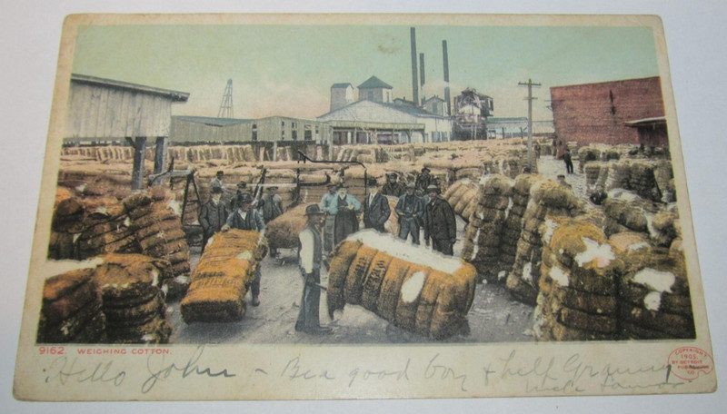 Vintage Postcard Weighing The Cotton Crop for Market Sales Factory Production
