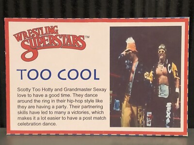 WWE Too Cool WWF LJN Bio Card Replica Wrestling Custom Brian Christopher 2 Hott