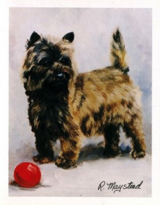 Cairn Terrier Pet Dog with Ball 6 Blank Note Cards Great For Birthdays Thank You
