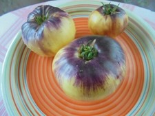 SART ROLOISE Nasiona pomidorów Heirloom Indigo Blue White Beefsteak Owocowy smak