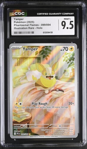 Yamper *CGC 9.5* Illustration Rare *Phantasmal Flames* #99 * Pokemon