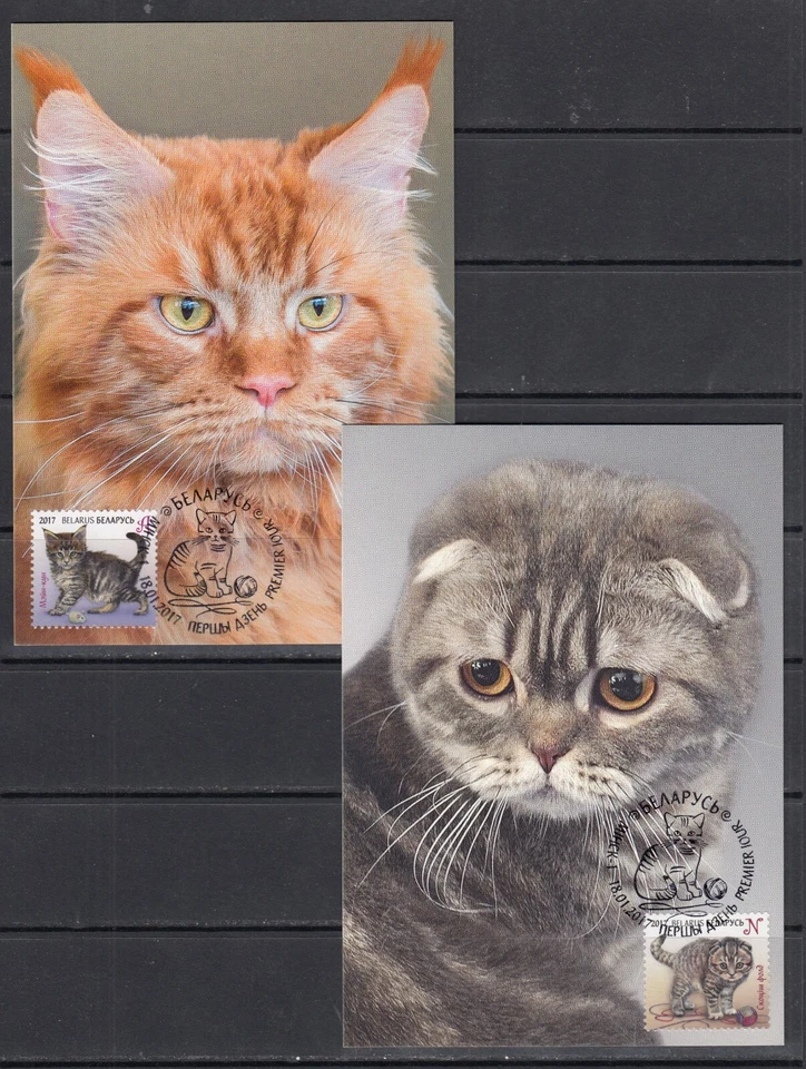 Cats Animals 2017 Belarus 4 v complete set  - 4 Maximum Card - Image 3 of 3