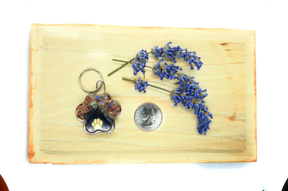 EMF 5G Protección Mascota Perro Dije Orgón/Shungita/Turmalina Negra (Impresión de Pata) Foto 3 de 4