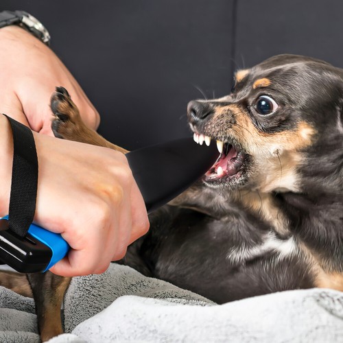 Equipment Dog Bite Stick Dog Break Stick Dog Bite Rod Dog Break Rod Dog Bite Tug - 第 8/12 張圖片