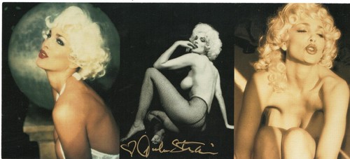 JULIE STRAIN'S MARILYN 2000, carpeta, juego de tarjetas coleccionables, subconjunto, promoción autografiada - Imagen 6 de 9