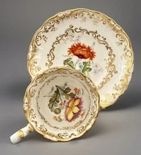 ANTIQUE COALPORT CUP & SAUCER  BOTANICAL HP MEISSEN KPM COPELAND SPODE STYLE