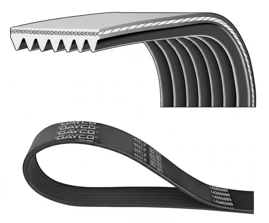 Cinghia trapezoidale multirighe 7PK1550 DAYCO per LEXUS TOYOTA - Immagine 2