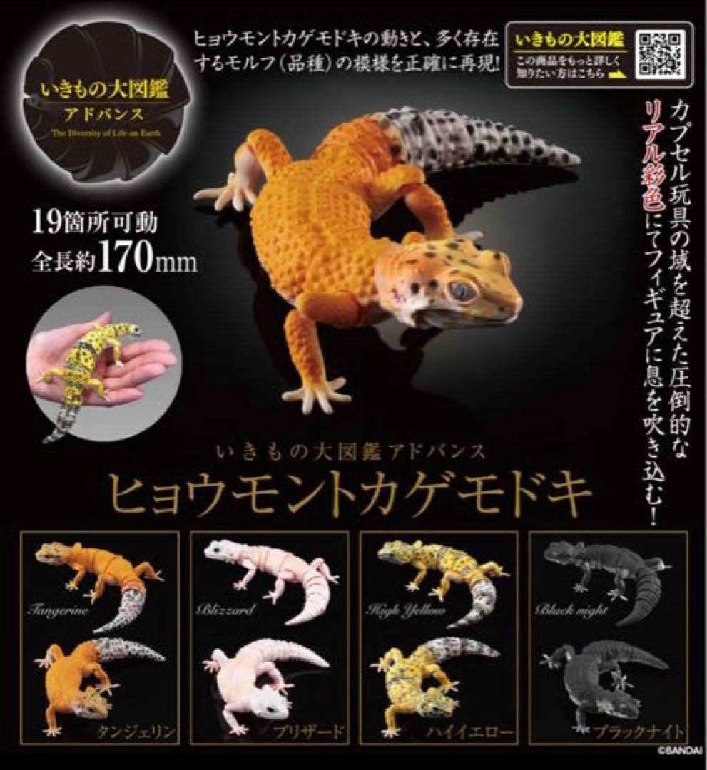 Living Creature Encyclopedia Advanced Leopard Gecko Set of 5 #f49a71