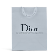 BRAND NEW, MINT Authentic Dior XL Tall Shopping Gift Bag 14 x 17.25 x 6.75