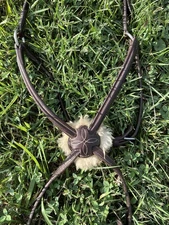 Gorgeous CWD Raised Figure 8 Noseband Sz 3 Full Horse Figure-8 Bridle