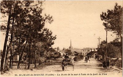 AK St-JEAN-de-MONTS - La Route de la mer a l'orée de la foret (297507)