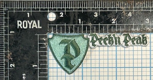 VINTAGE PEEK 'N PEAK SKI RESORT SKIING 3" EMBROIDERED IRON ON PATCH